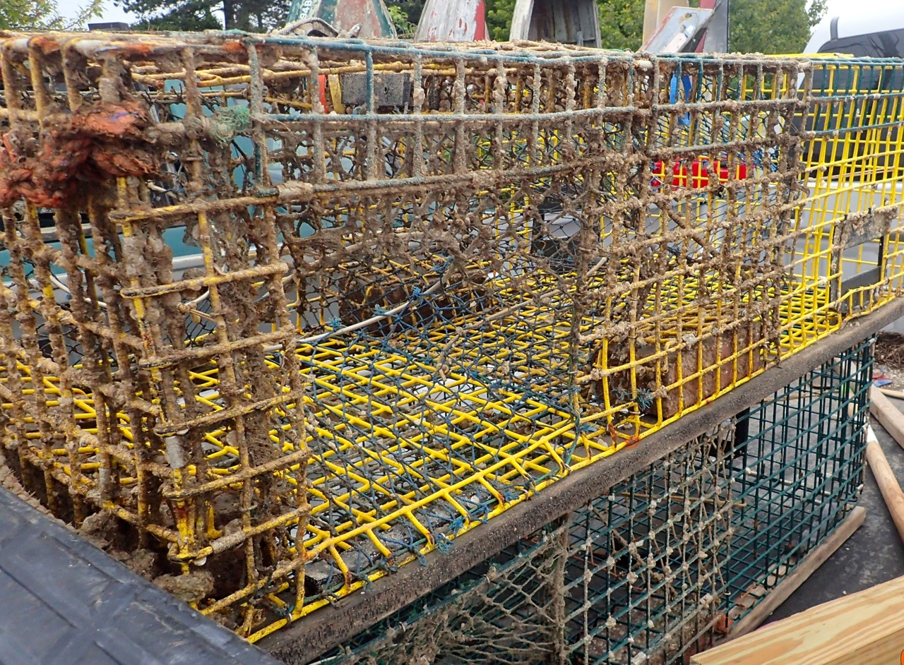 With Water Below A Lobster in Every Pot?