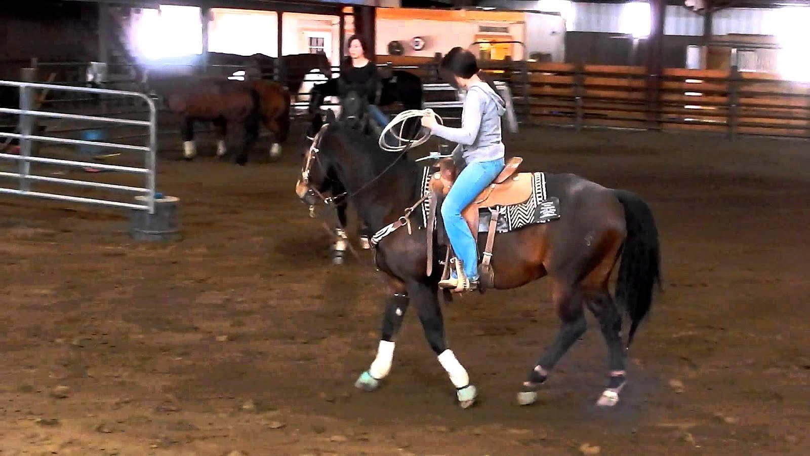 Finished Roping Horses For Sale Horse Choices Finished Roping Horses For Sale Horse Choices