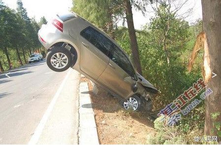 PHOTOS: "Lucky Driver" Saved By Tree Root After Terrible Accident. See
