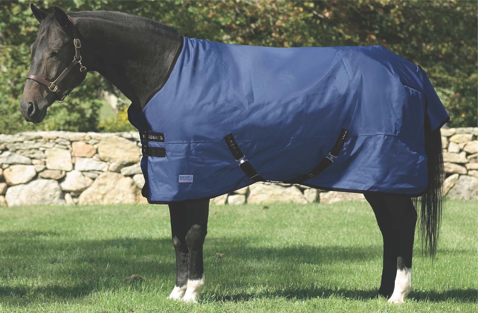 Vet Tips Light, Medium and Heavy Blankets for Horses