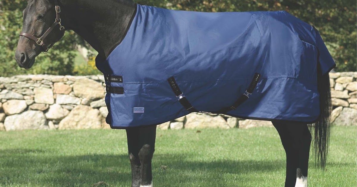 Vet Tips Light, Medium and Heavy Blankets for Horses