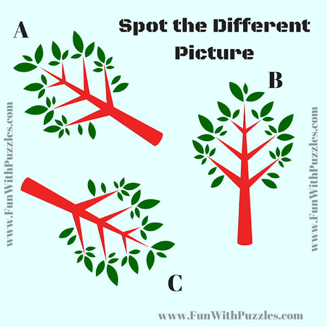 This is the Odd One out puzzle in which your challenge is to find the picture which is different from other two pictures.