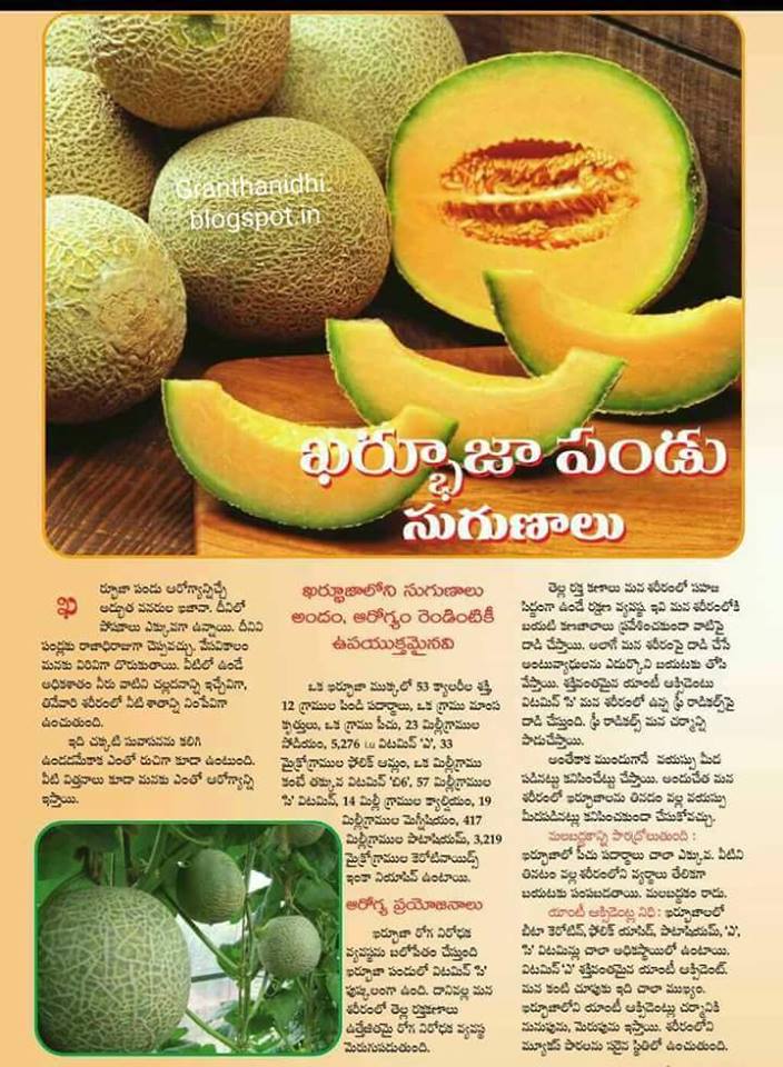 TELUGU WEB WORLD KHARBHUJA FRUIT HEALTH BENEFITS IN TELUGU
