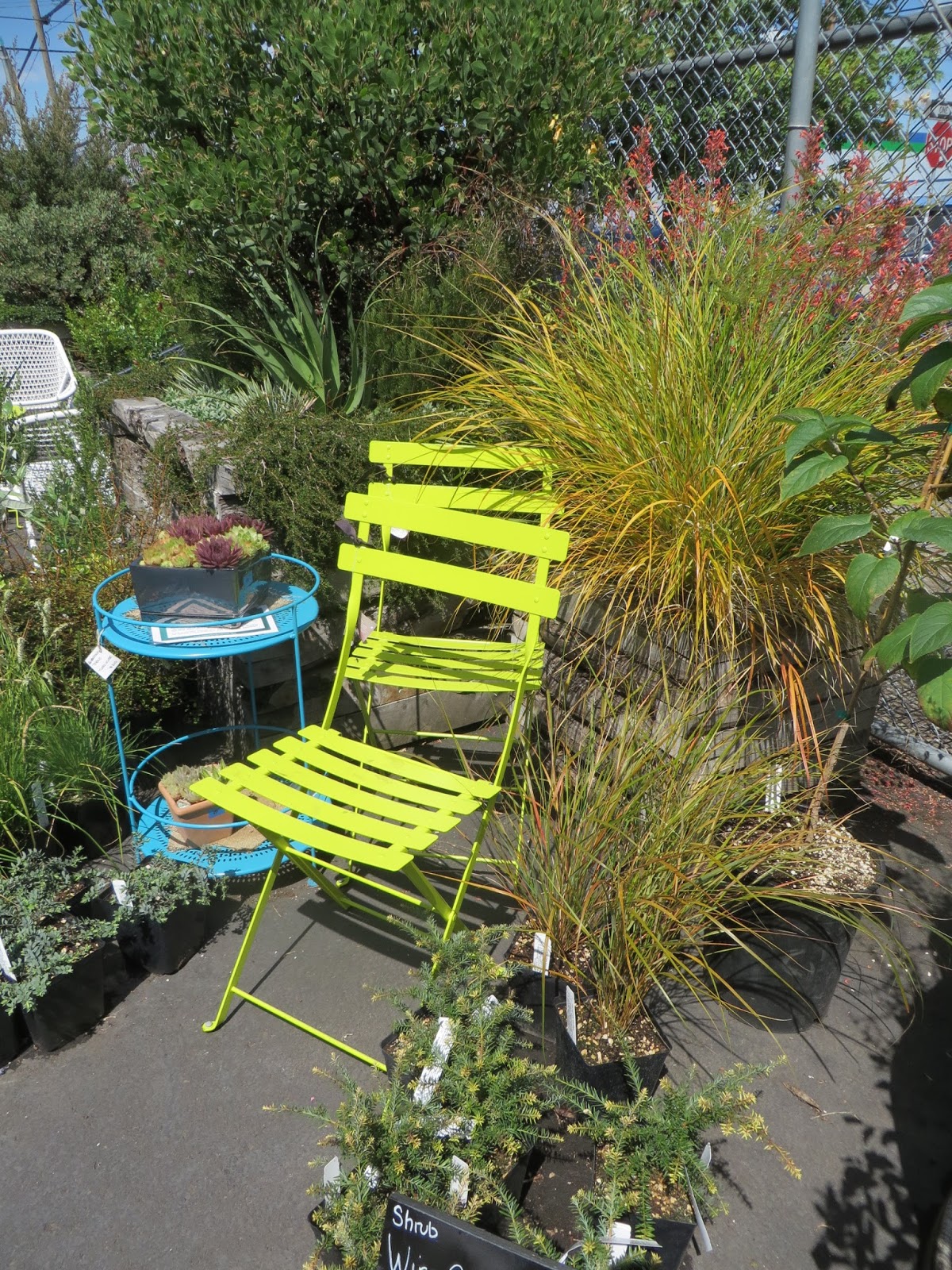 Gardening In A Small Space Gluesticks Blog