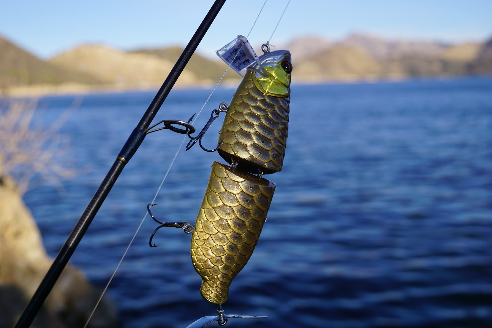 hunting the river king sexiest swimbait ever sora design custom arapaima lure sora design custom arapaima lure