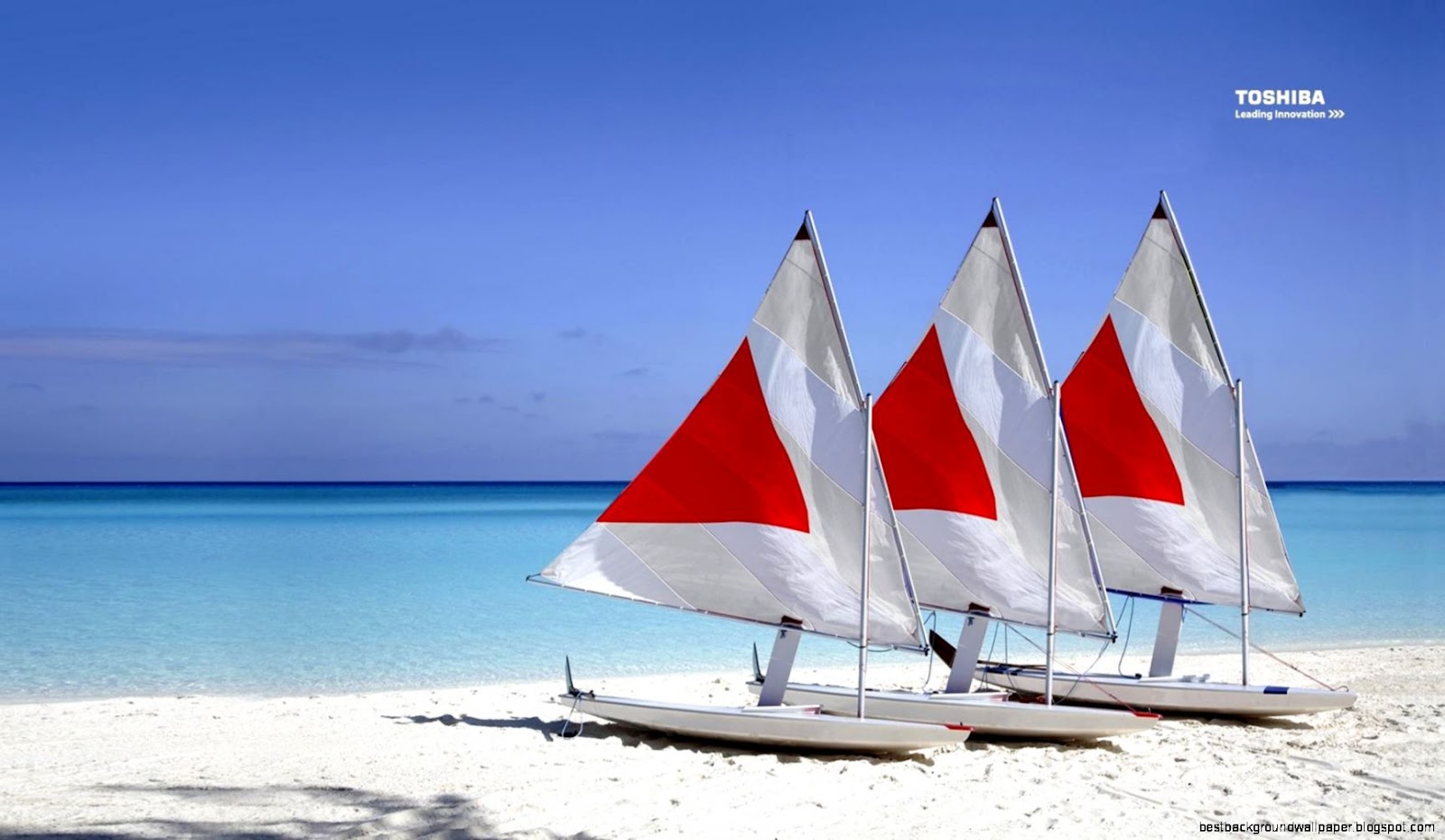 Toshiba Laptop Windows 8 Wallpaper