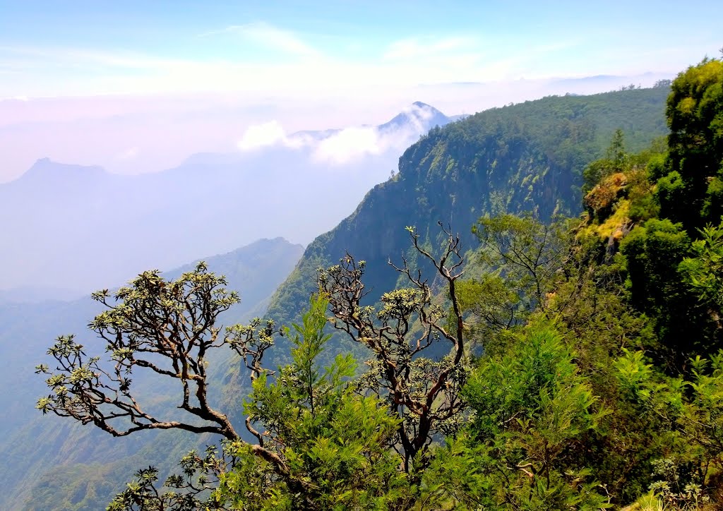 Tamilnadu Tourism Caps Valley View (Thoppi Thooki Paarai), Kodaikanal