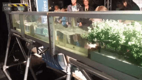 1027fc75aae7c8b37cfef6e6250a085eac3745a6.gif