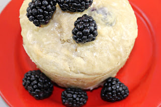 English Blackberry Pudding