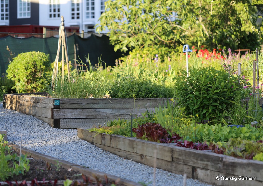 Günstig gärtnern Quadratisch und praktisch