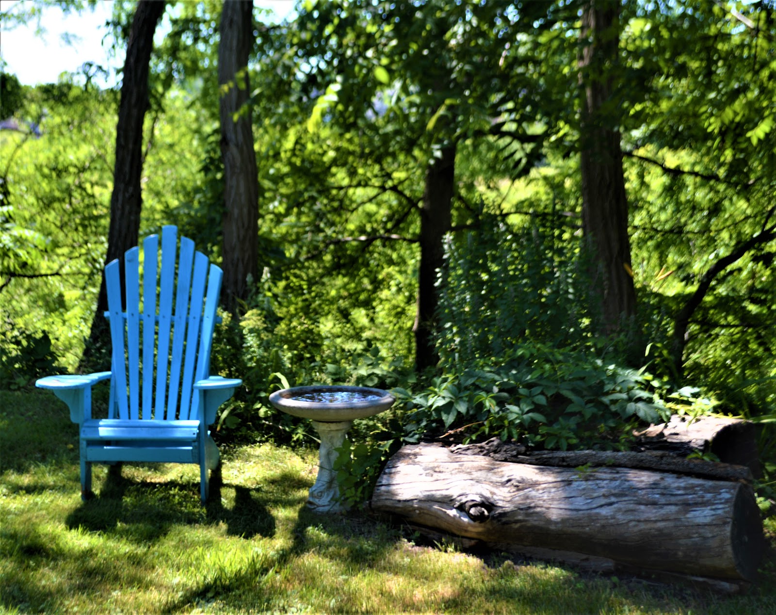 Camera on King & Aurora The Roost Cafe on Keele Street