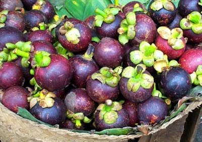 manfaat buah manggis bagi kesehatan