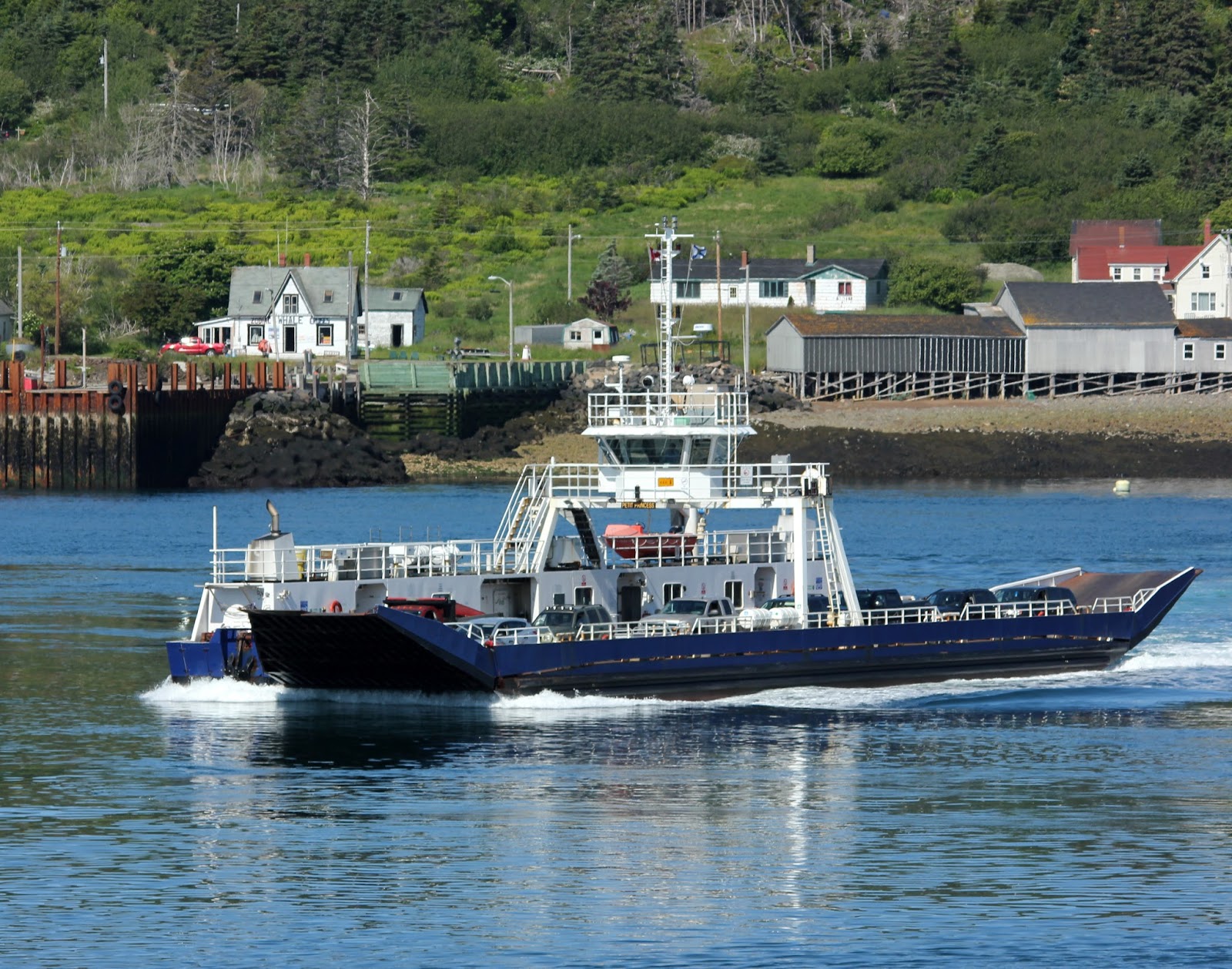 Here and There Day 178 26th June 2016 Yellow Warblers, Common Yellowthroat, Boar's Head