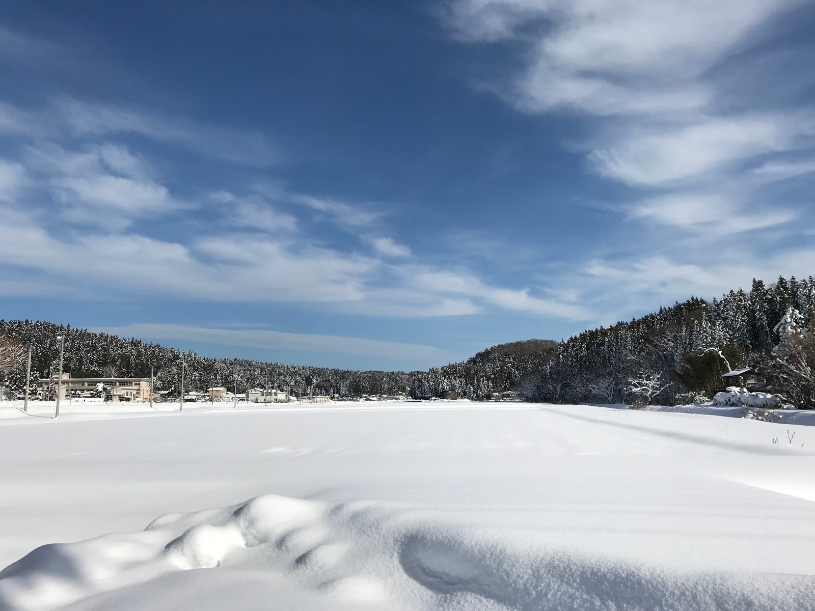 エスネル 豊かな暮らしを送る秘密 いなか日記 65 白銀の世界 雪の華が咲いた庭