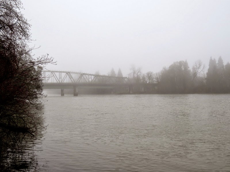 Photos by Jan: Off D Street in Springfield,Oregon/Then Day Island Park