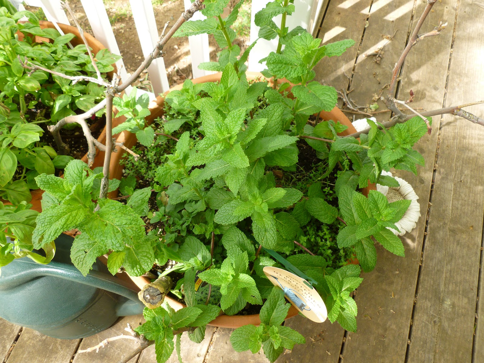 It's a July Thing: May 2012