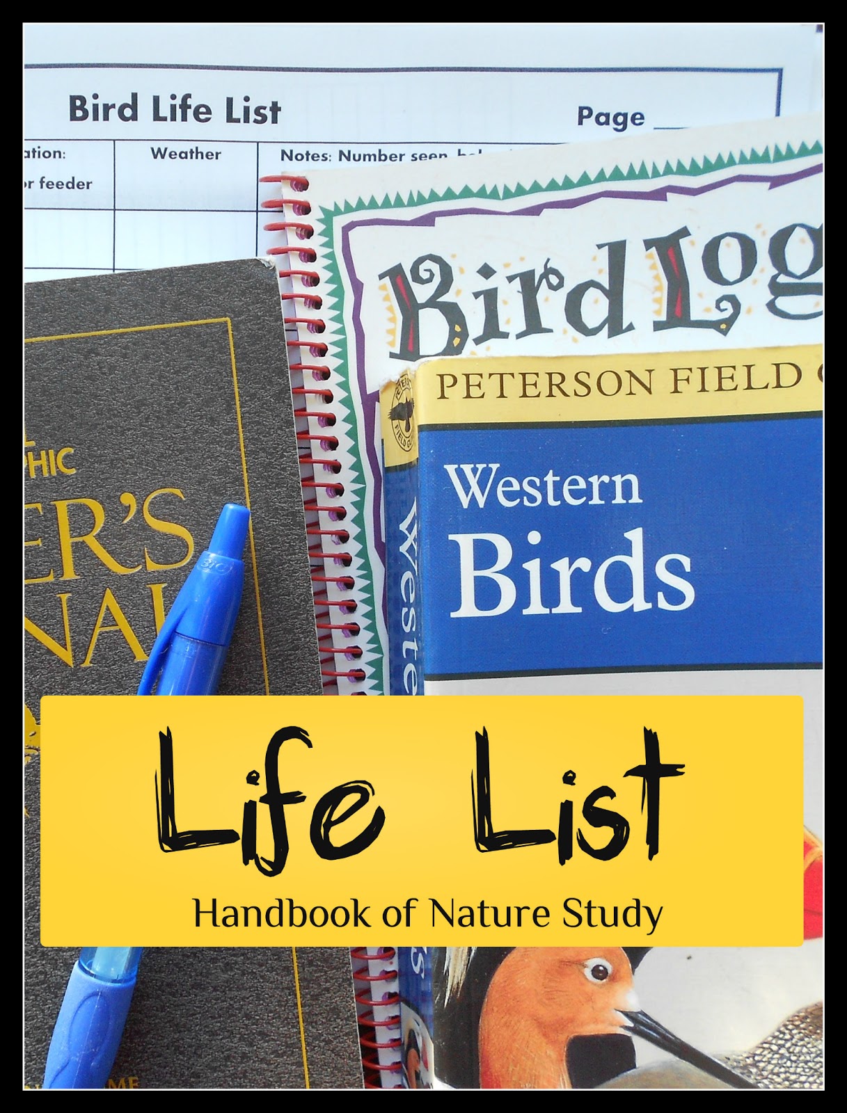 Handbook of Nature Study Outdoor Hour Challenge Starting a Bird Life
