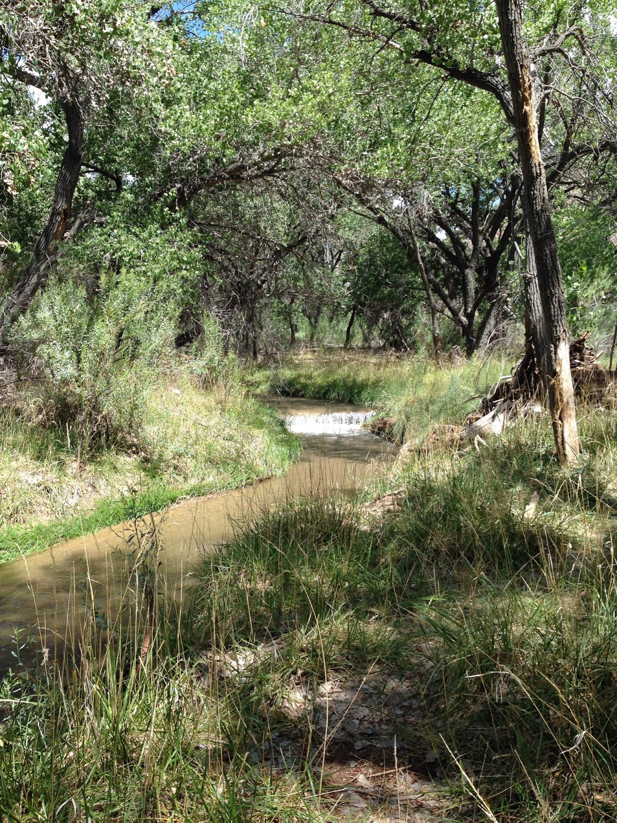 Southern New Mexico Explorer Rio Ruidoso, Tularosa Creek