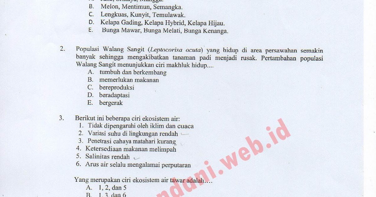 Soal essay sosiologi kelas 12 usbn picture