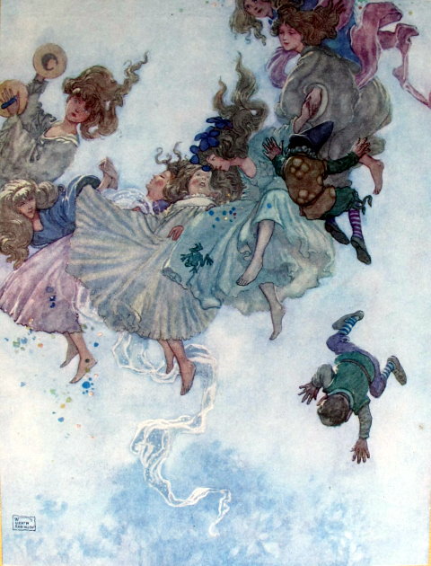 Hans Andersen Fairy Tales Illustrated by W Heath Robinson