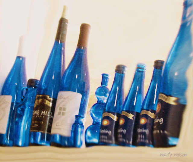 Blue bottles at Oak Point 