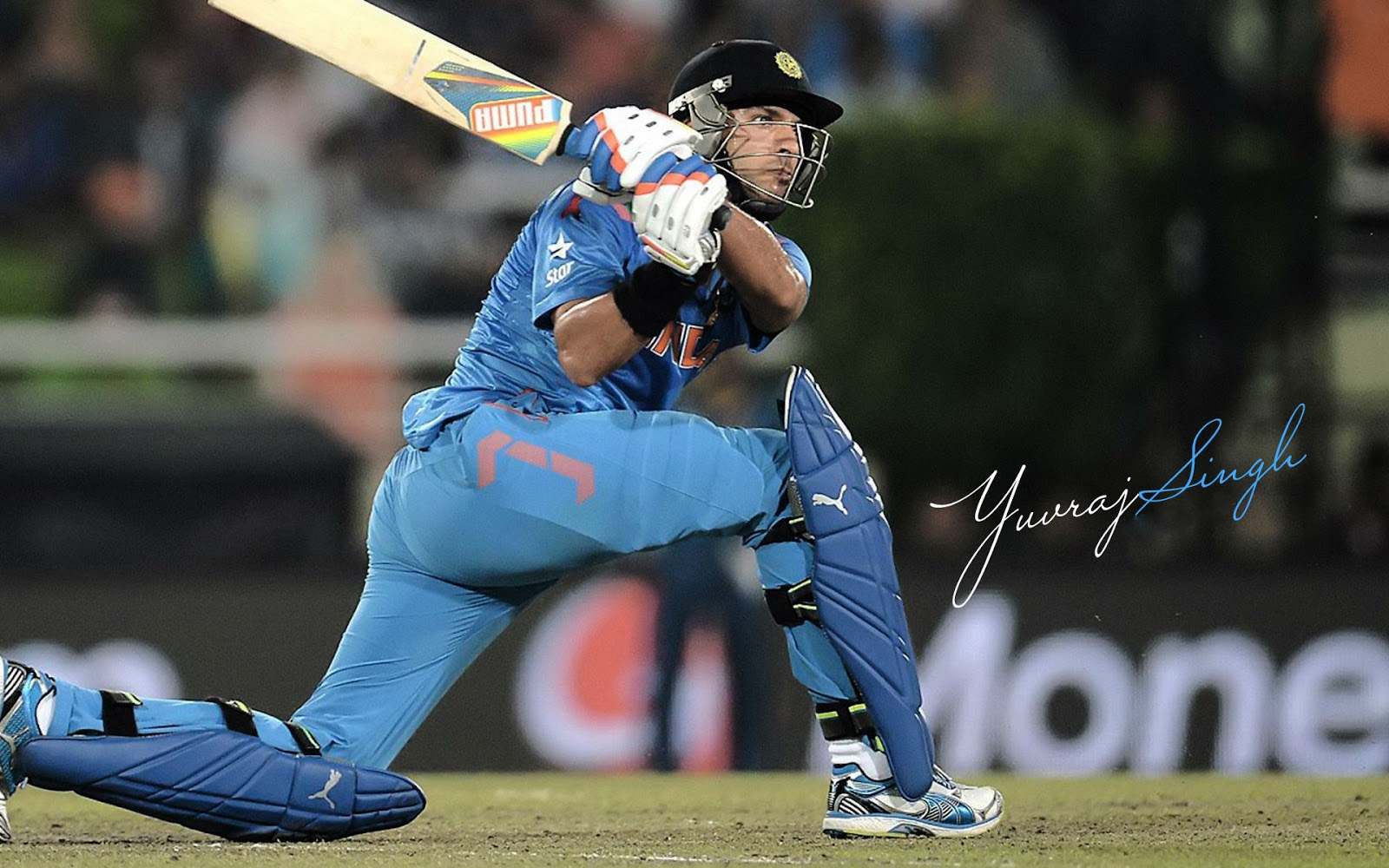 Yuvraj Singh Full HD Wallpaper 2016 hdwallpaper