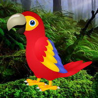 Games2rule Macaw Green Forest Escape