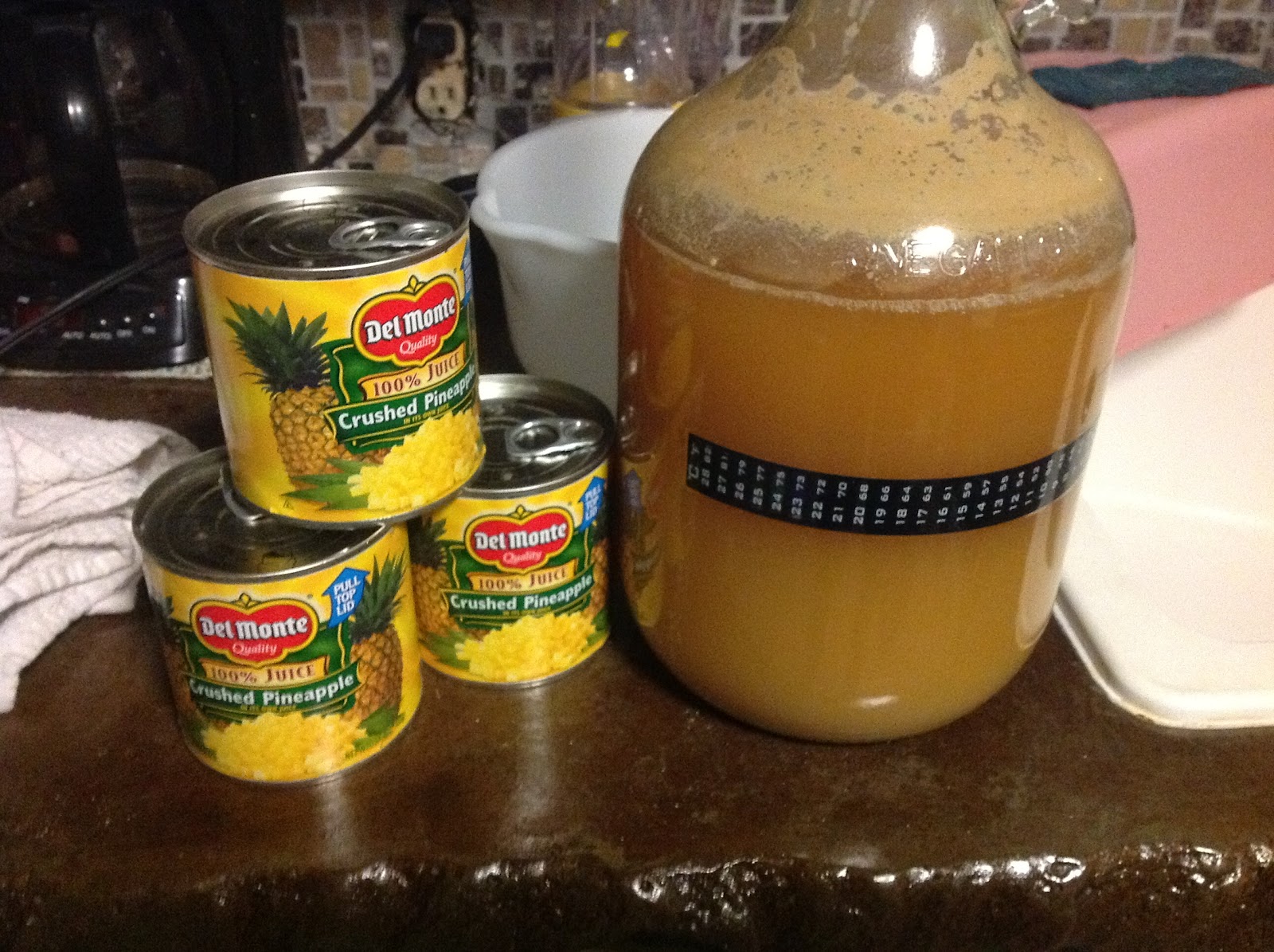 Beernoulli's Homebrewing Pineapple Pale Ale
