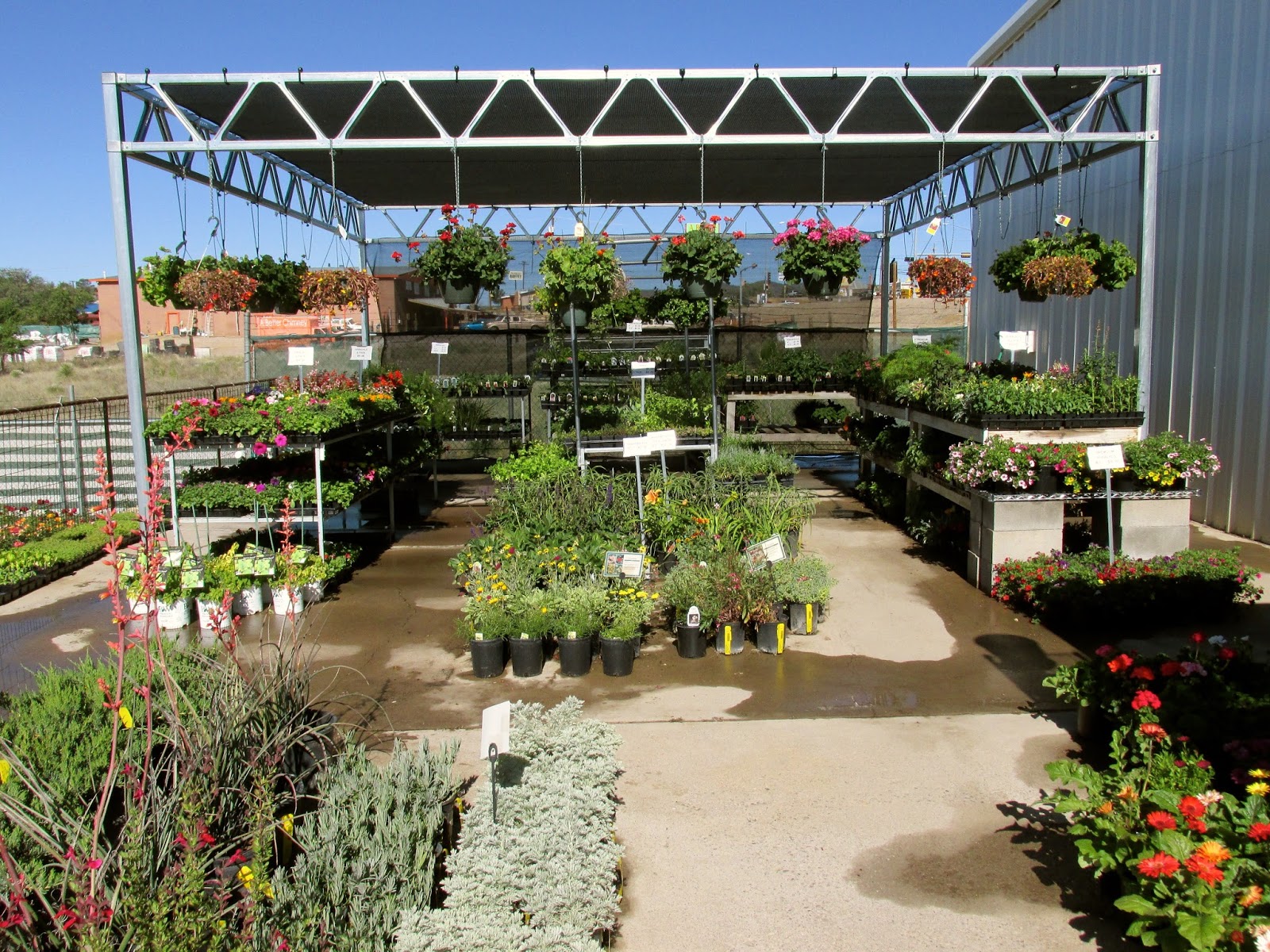 Nursery Garden Интернет Магазин Растений