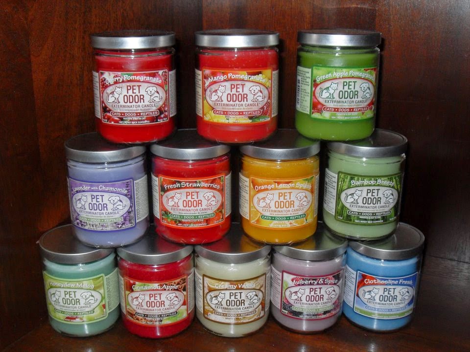 pet exterminator candles