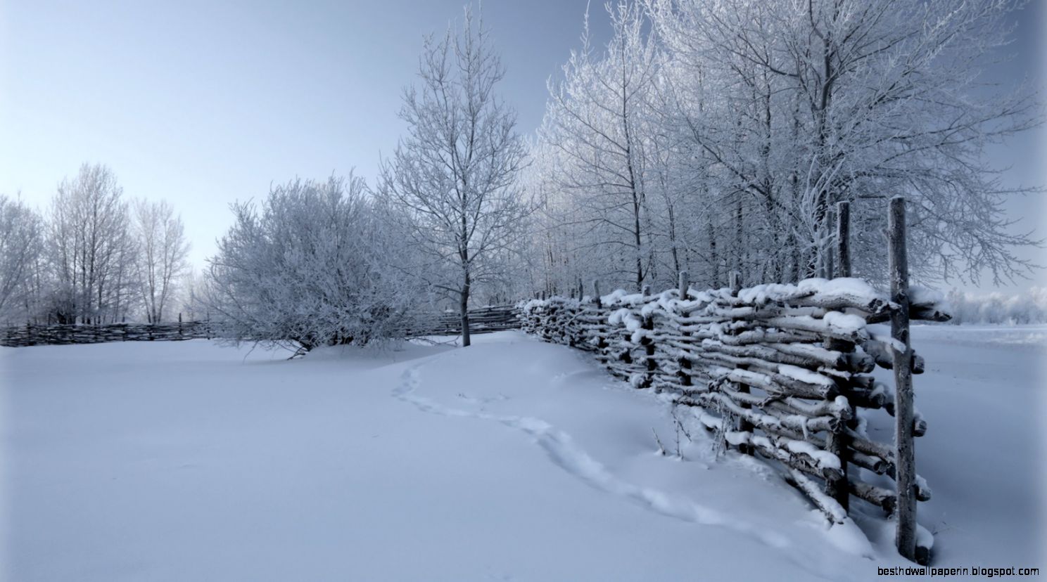 Country Rail Fence Winter wallpaper – What Does Conservative