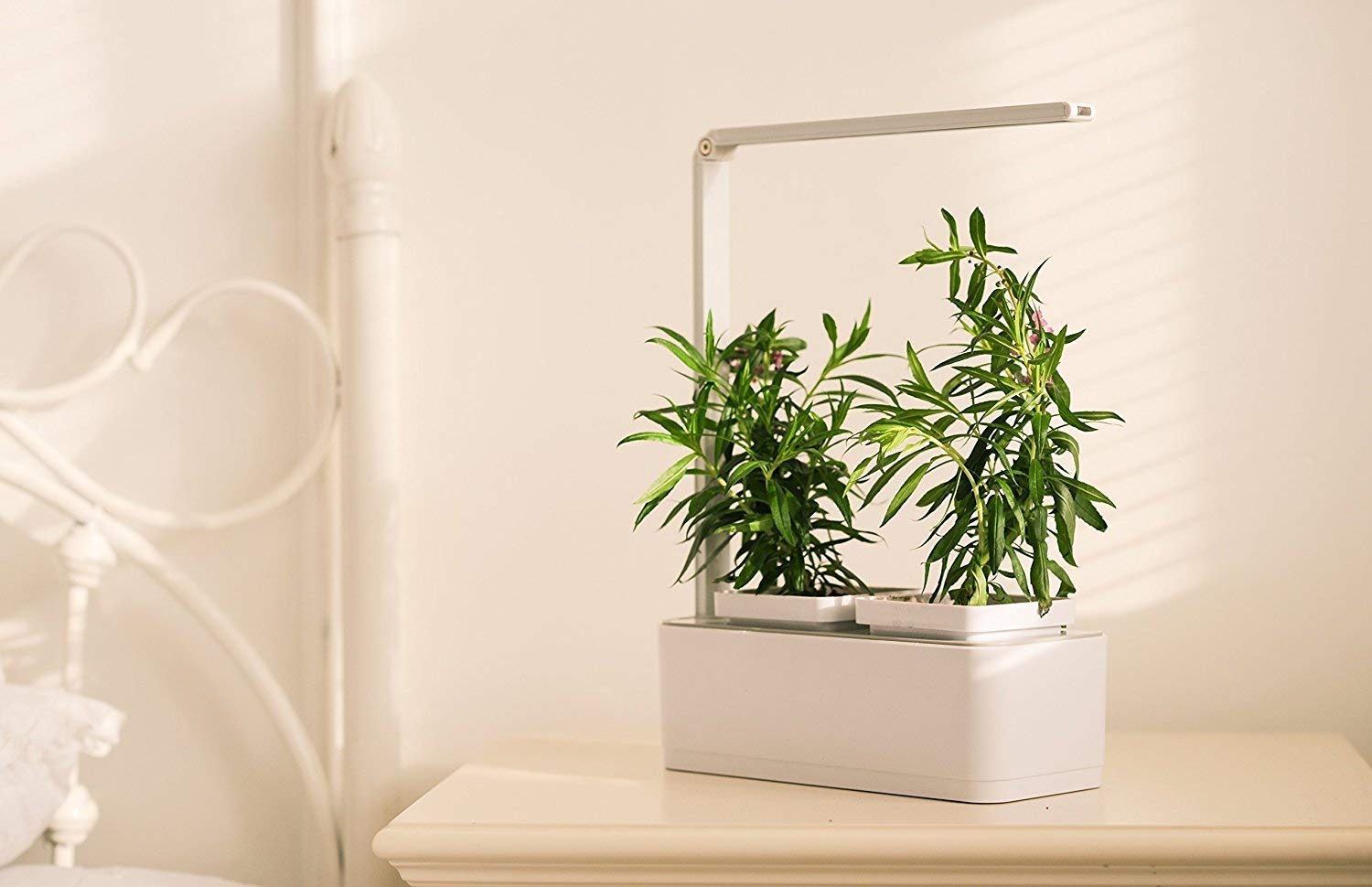 Indoor Garden Kit - iRSE Hydroponics LED Growing System