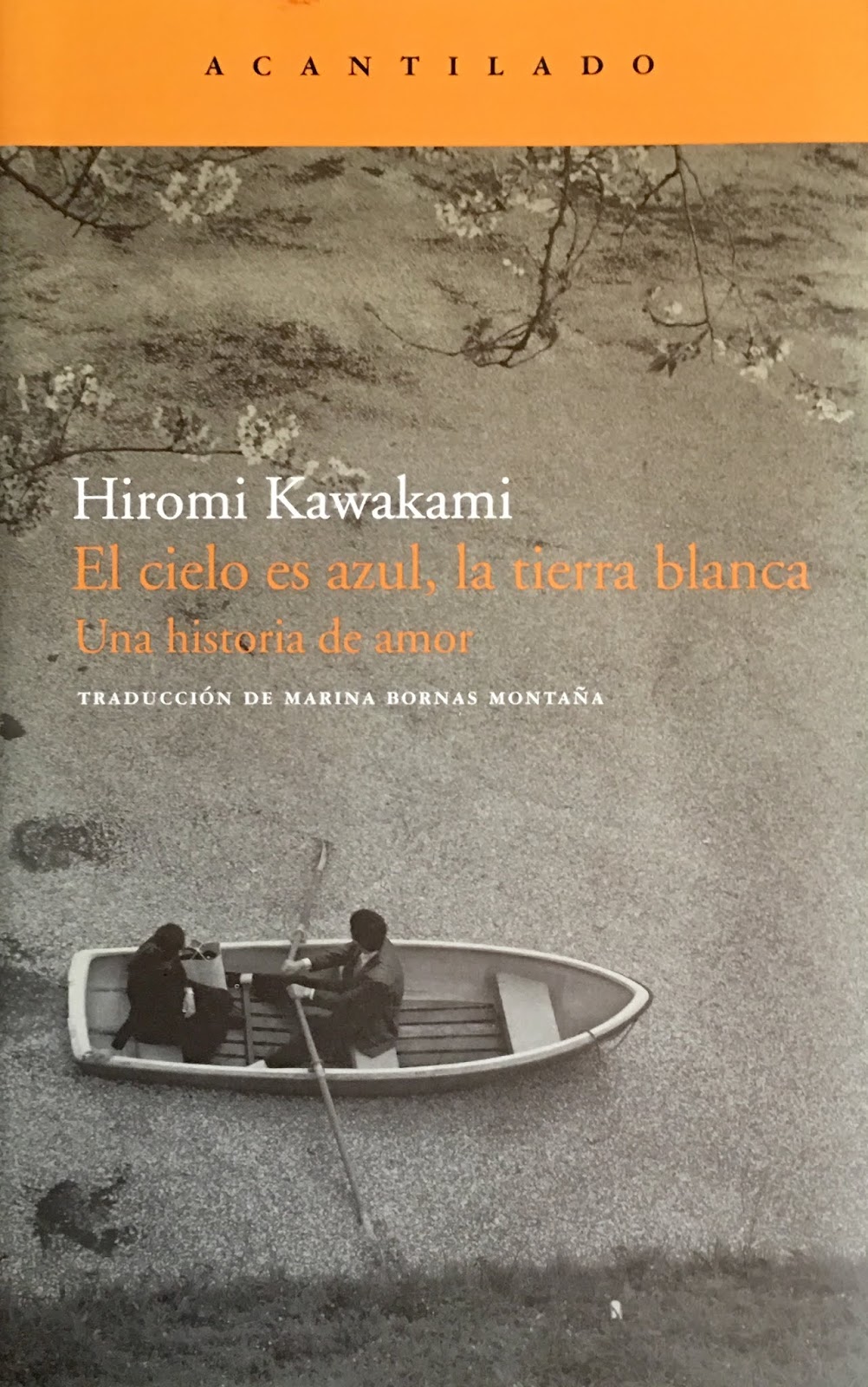 Biblioteca de Carmelinda El cielo es