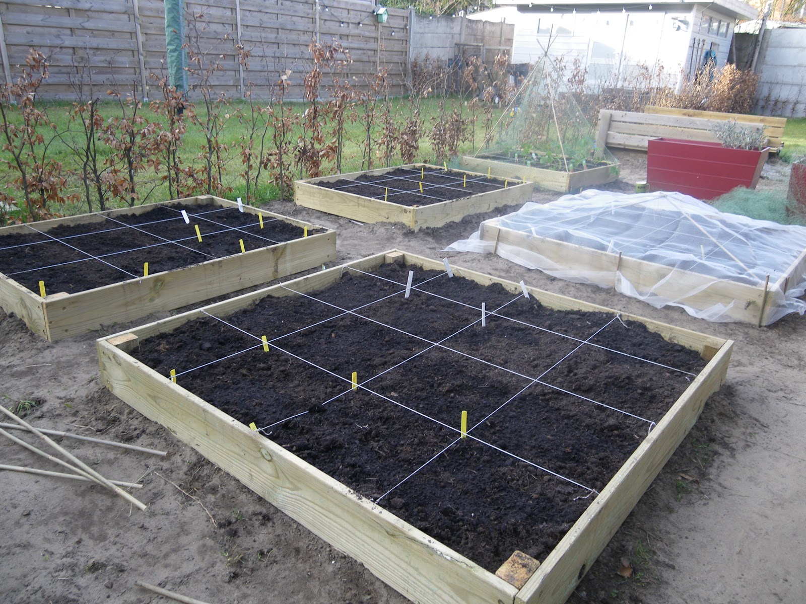 Vierkante meter tuinieren Wat en hoeveel zaaien in je vierkante meter tuin?