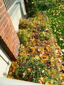 Toronto garden cleanup before Broadview North Paul Jung Gardening Services