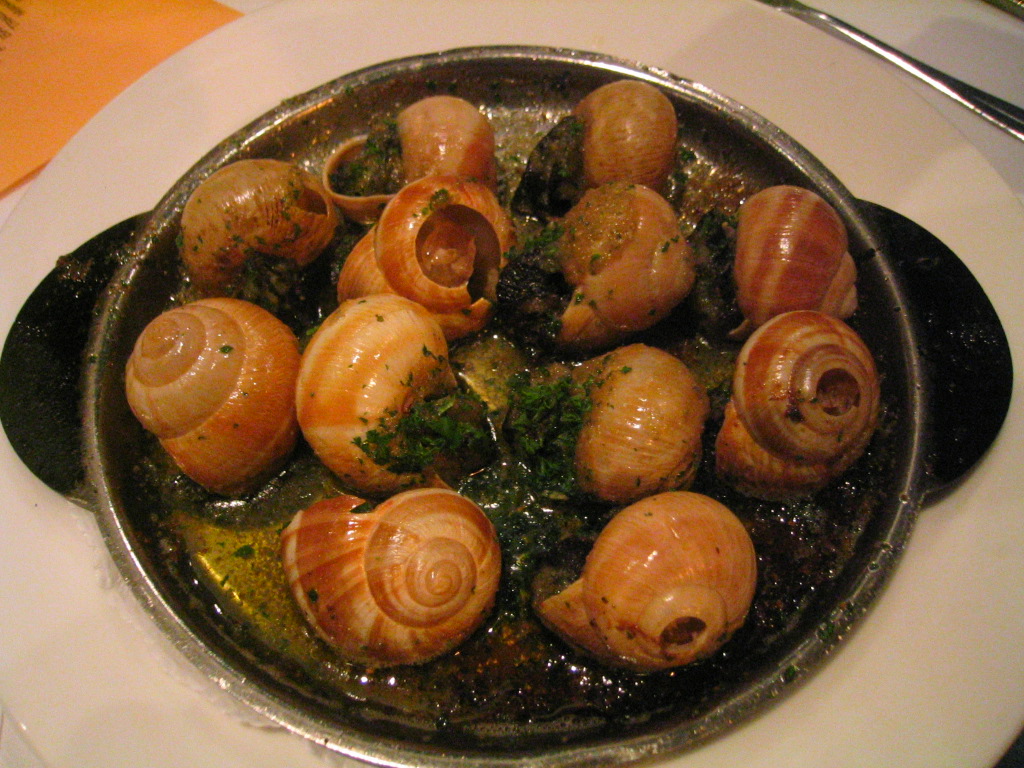 Animals World snails food items