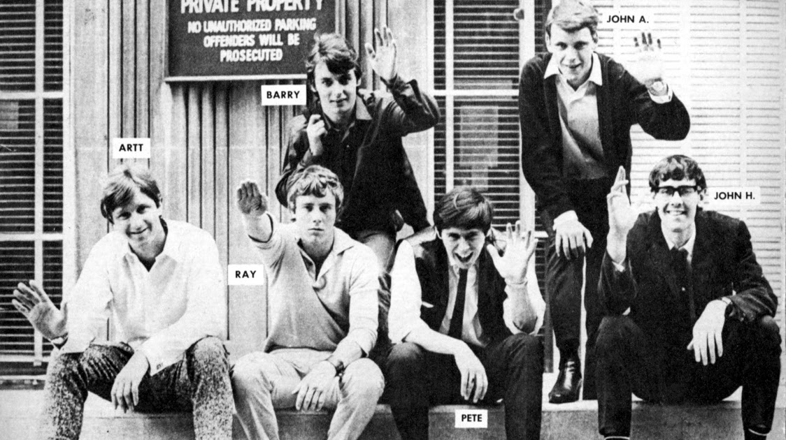 SIXTIES BEAT The Nashville Teens