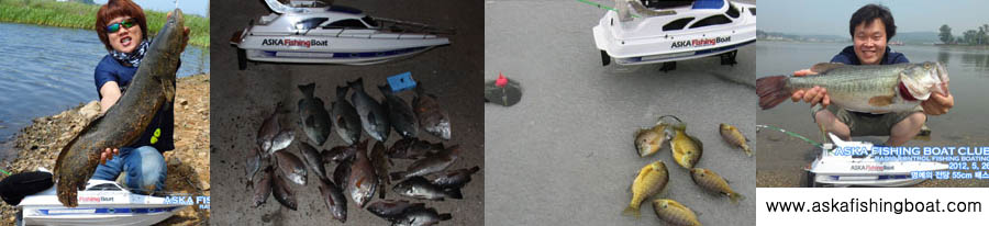 RC BOAT FISHING, rc boat fishing(english)