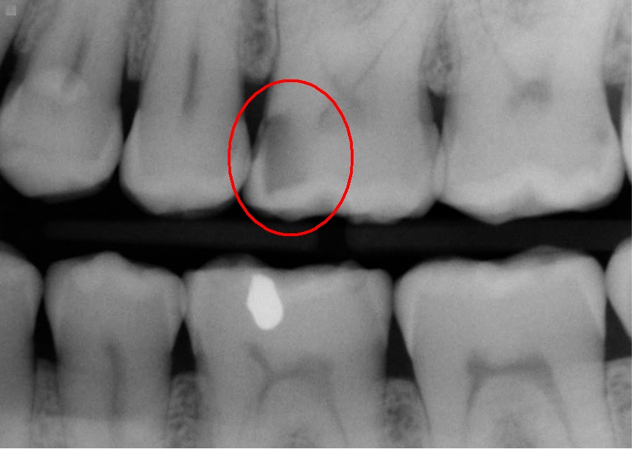 Dental Dialogue January 2013