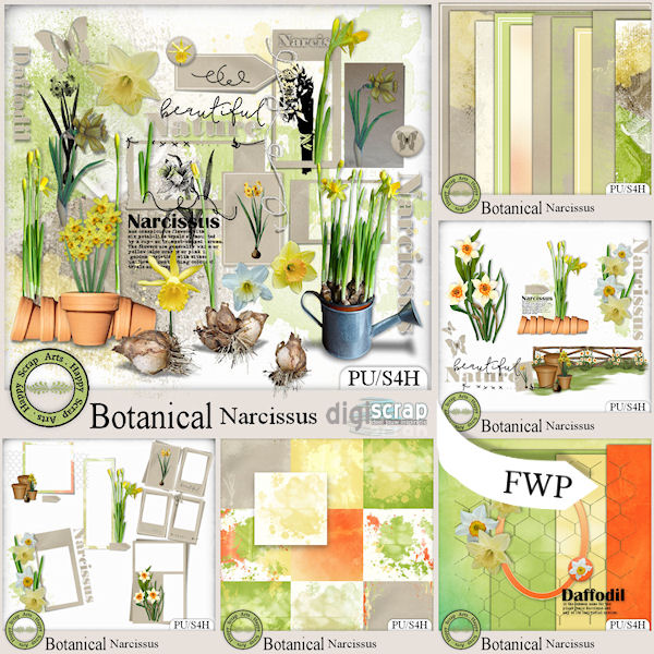 HSA_Botanical_Narcissus_bundle_pv