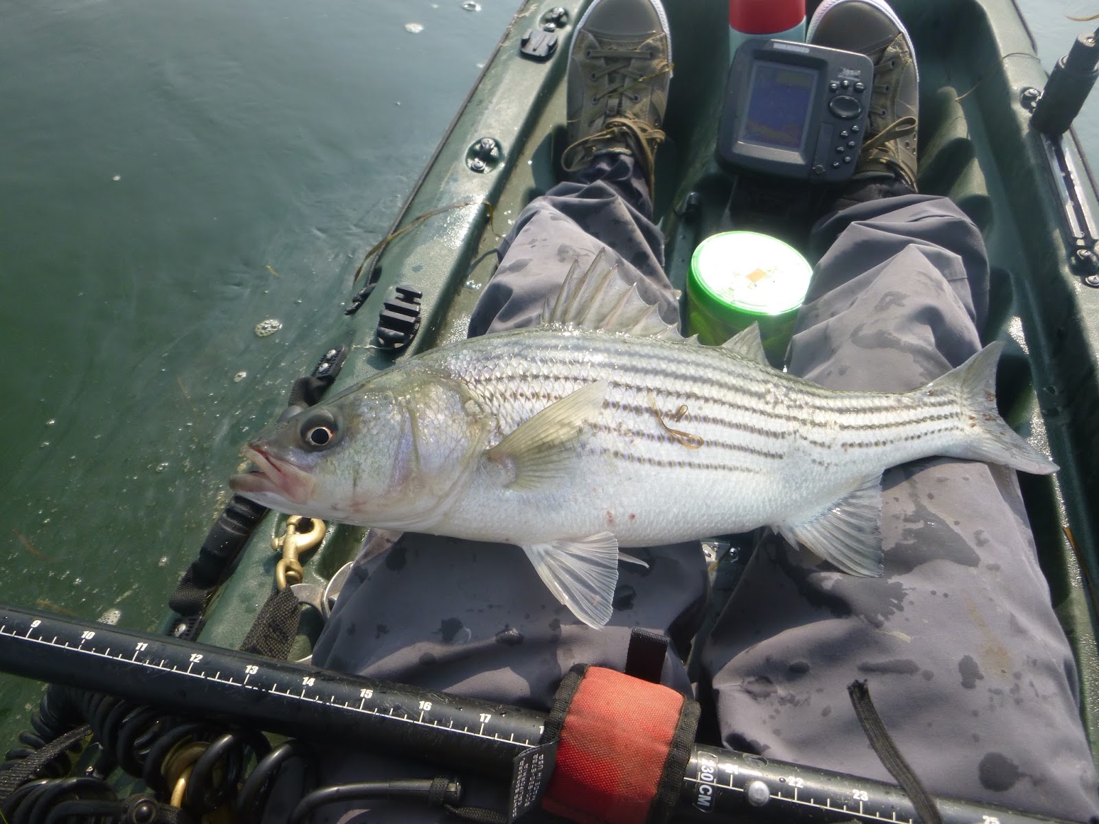 new jersey fishing report fishing new jersey NJ fishing fishing