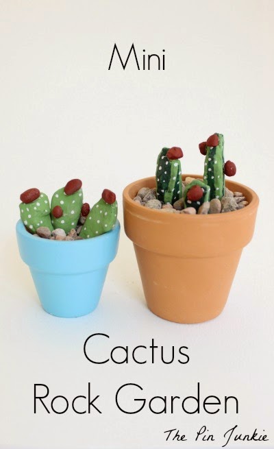 cactus rock garden