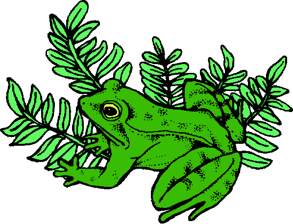 Tadpoles Pollywogs Froglets Daycare Daily Schedule tadpoles-pollywogs-froglets-daycare-daily-schedule