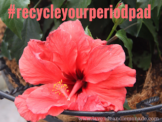 Water Patio Plants Less Often with this Surprising Tip! #recycleyourperiodpad
