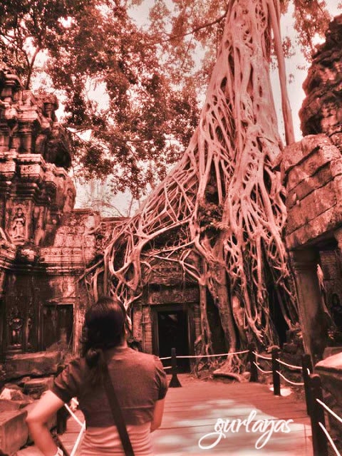 Tomb Raider movie spot Ta Prohm by gurlayas.blogspot.com