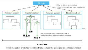 udemy best machine learning course