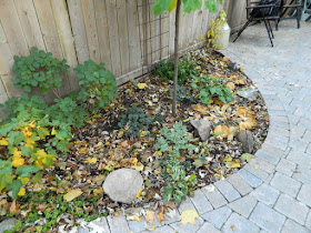Cabbagetown garden makeover before Paul Jung Gardening Services Toronto