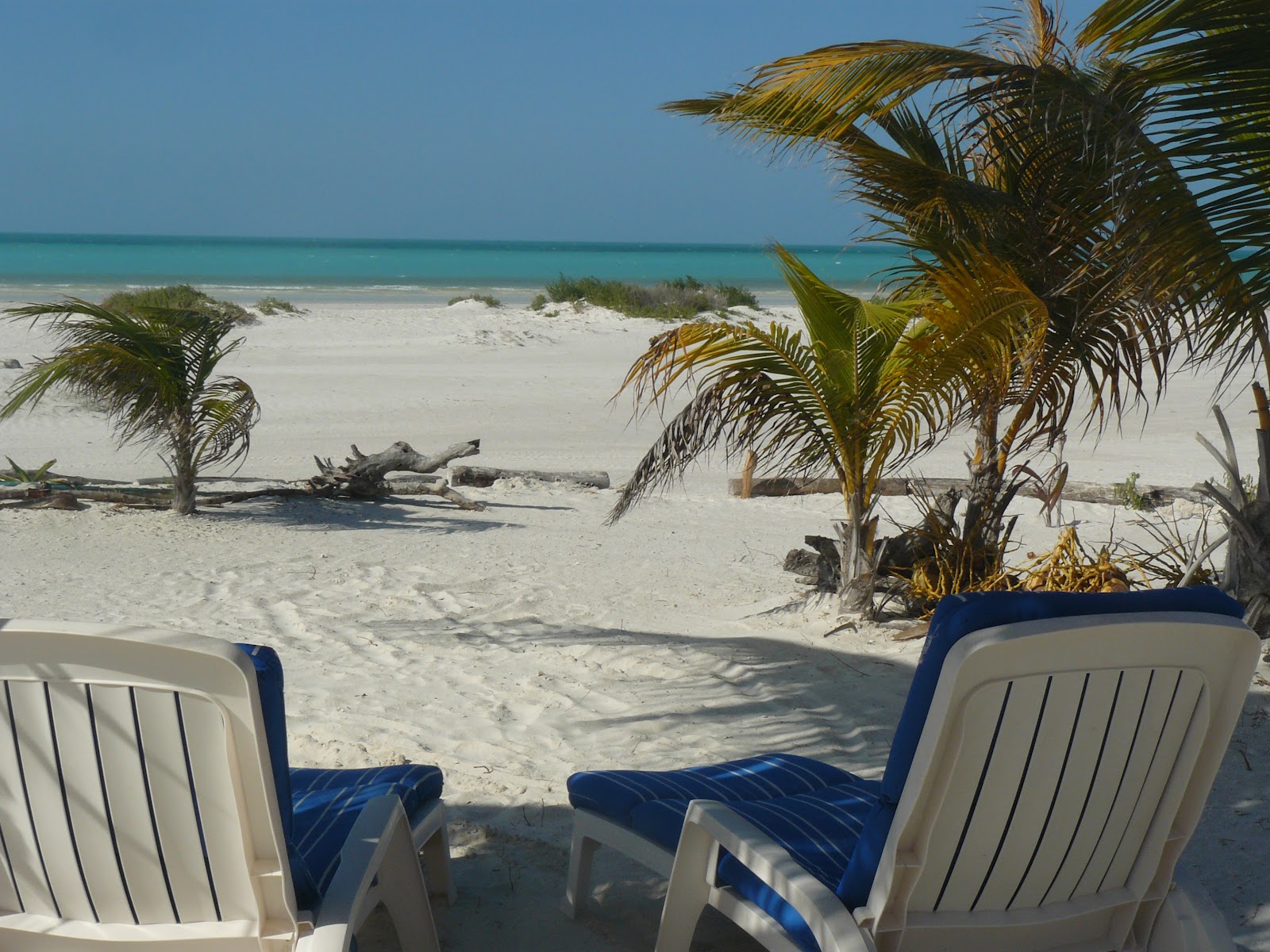 Riviera Maya Real Estate News Invest in the Beachfrnt Hotel in Holbox