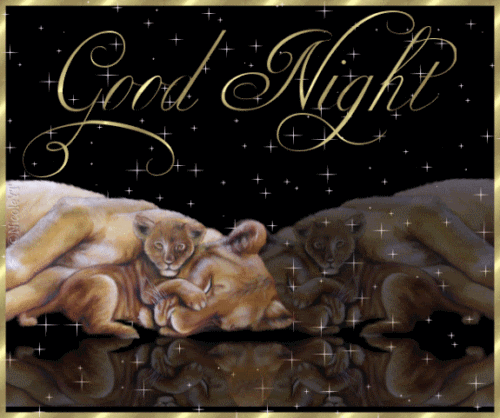 Good Night Animated GIF's ENTERTAINMENT jpg (500x418)