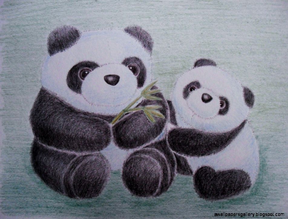 Panda Mom and Cub Stuffies   Color Pencil Drawing  Flickr   Photo